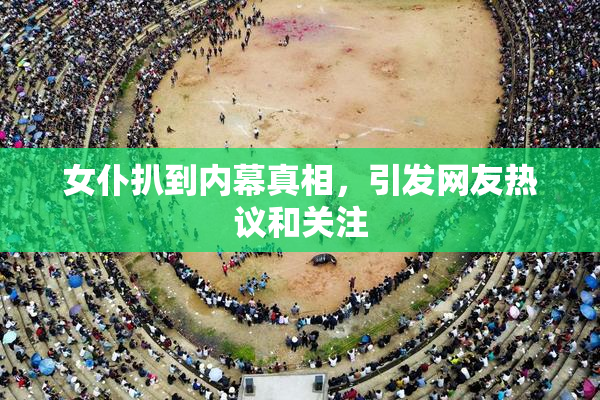 女仆扒到内幕真相，引发网友热议和关注