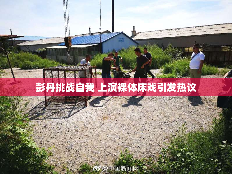 彭丹挑战自我 上演裸体床戏引发热议