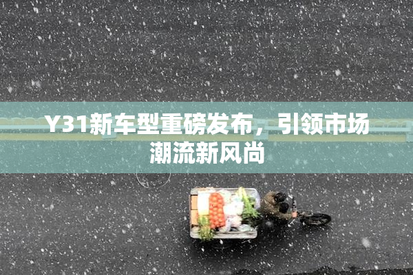 Y31新车型重磅发布，引领市场潮流新风尚