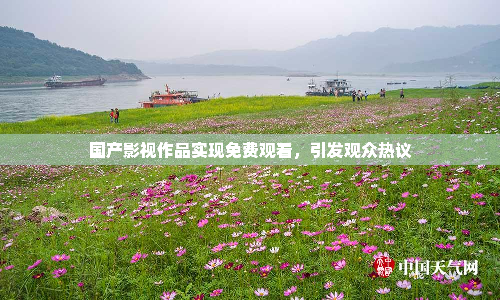 国产影视作品实现免费观看，引发观众热议