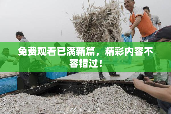 免费观看已满新篇，精彩内容不容错过！