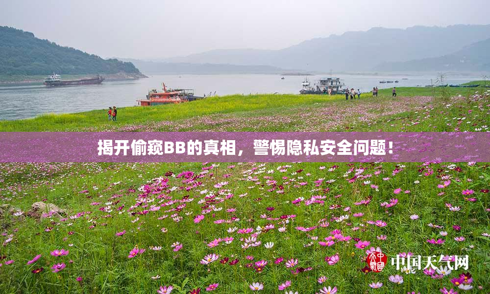 揭开偷窥BB的真相，警惕隐私安全问题！