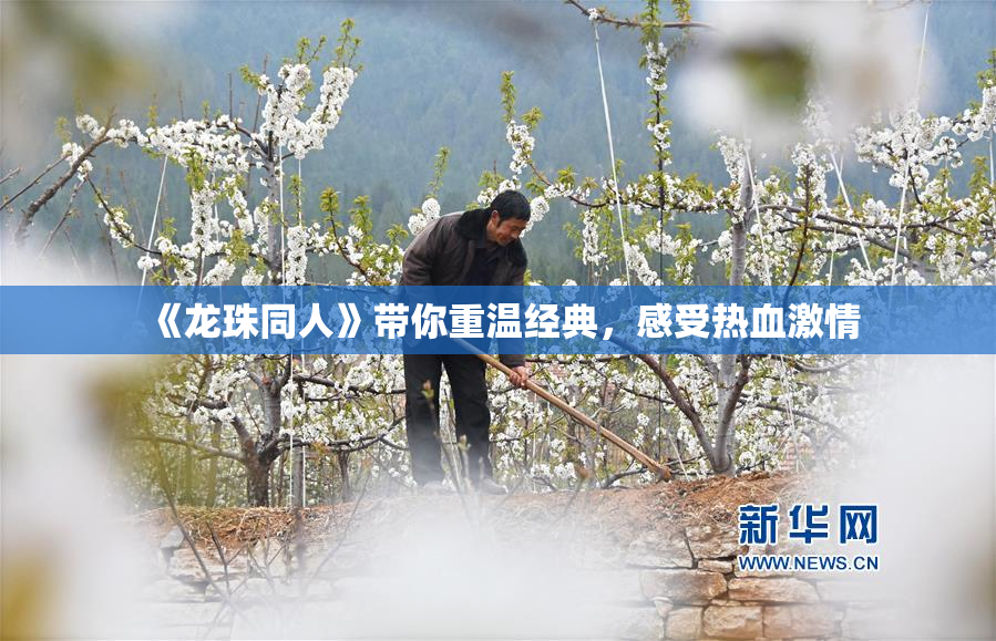 《龙珠同人》带你重温经典，感受热血激情