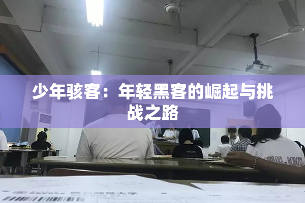 少年骇客：年轻黑客的崛起与挑战之路