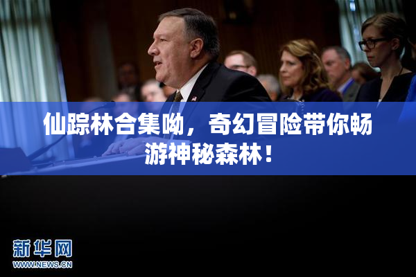 仙踪林合集呦，奇幻冒险带你畅游神秘森林！
