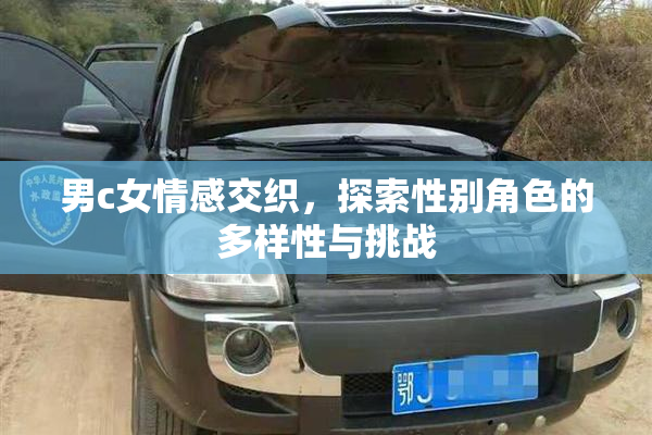 男c女情感交织，探索性别角色的多样性与挑战