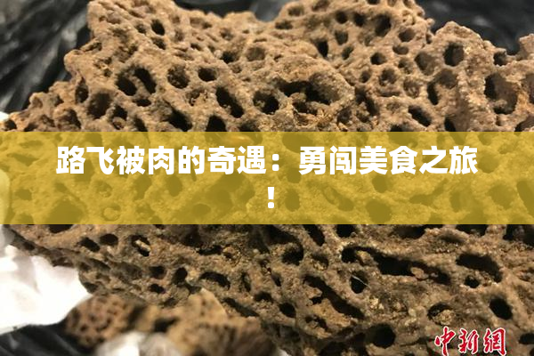 路飞被肉的奇遇：勇闯美食之旅！