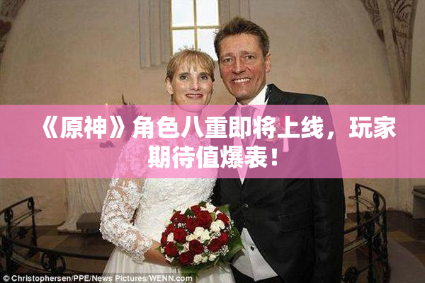 《原神》角色八重即将上线，玩家期待值爆表！