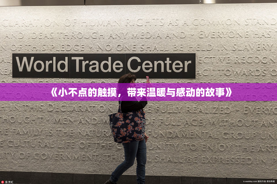《小不点的触摸，带来温暖与感动的故事》