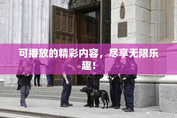 可播放的精彩内容，尽享无限乐趣！
