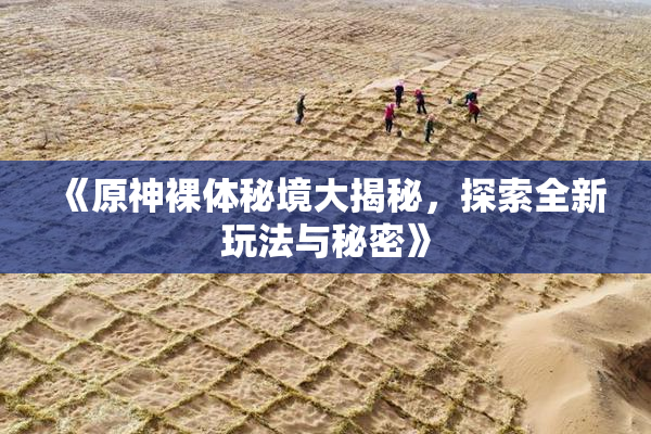 《原神裸体秘境大揭秘，探索全新玩法与秘密》