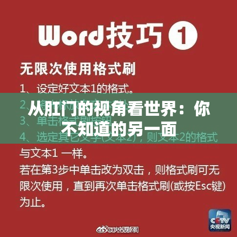 从肛门的视角看世界：你不知道的另一面