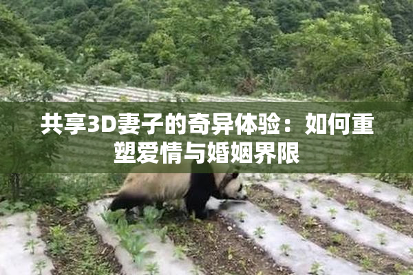 共享3D妻子的奇异体验：如何重塑爱情与婚姻界限