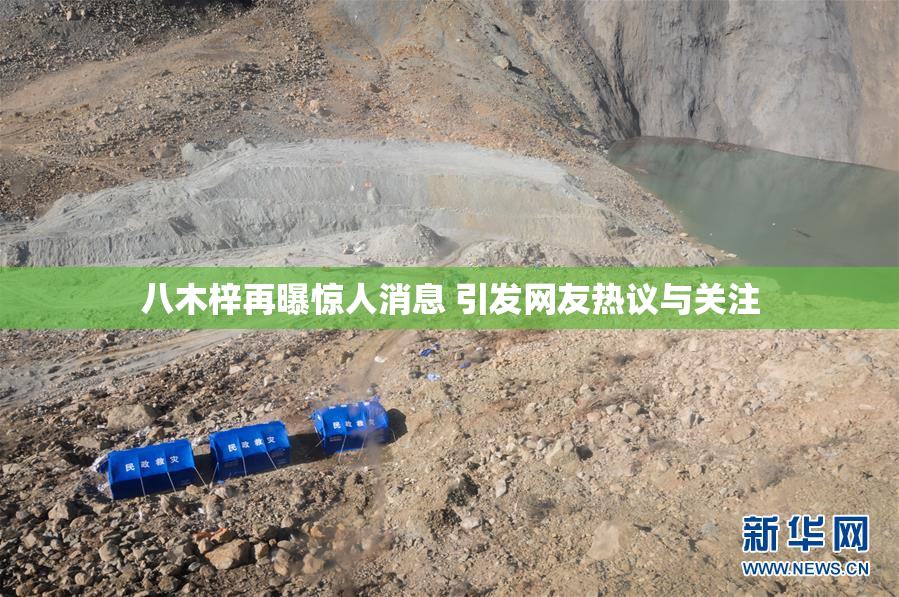 八木梓再曝惊人消息 引发网友热议与关注