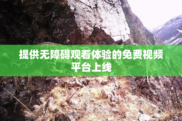 提供无障碍观看体验的免费视频平台上线