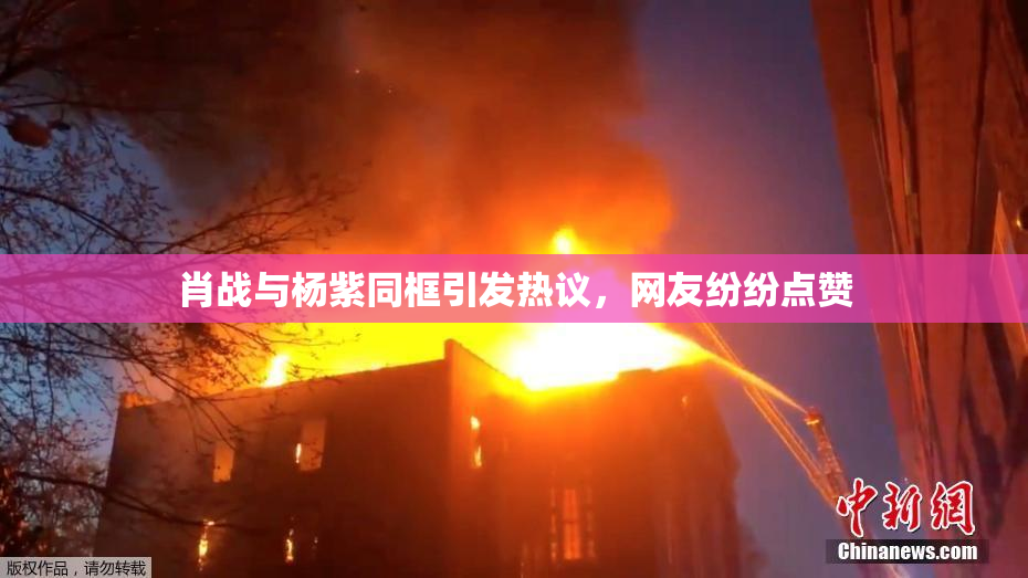 肖战与杨紫同框引发热议，网友纷纷点赞
