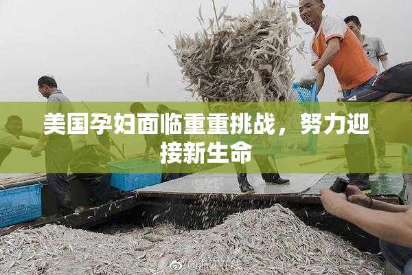 美国孕妇面临重重挑战，努力迎接新生命