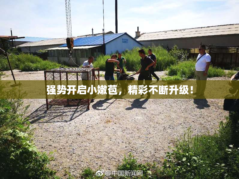 强势开启小嫩苞，精彩不断升级！