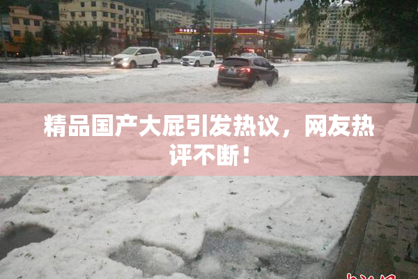 精品国产大屁引发热议，网友热评不断！