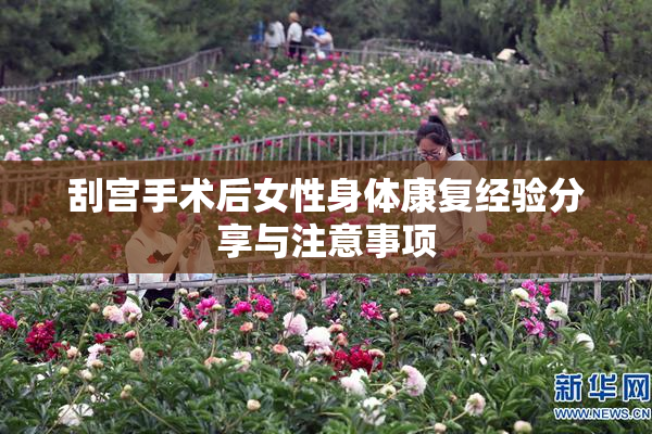 刮宫手术后女性身体康复经验分享与注意事项