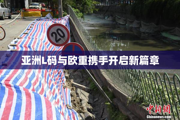 亚洲L码与欧重携手开启新篇章