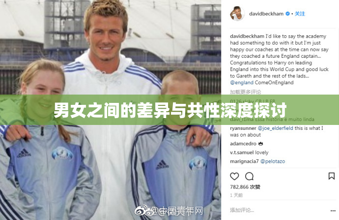 男女之间的差异与共性深度探讨