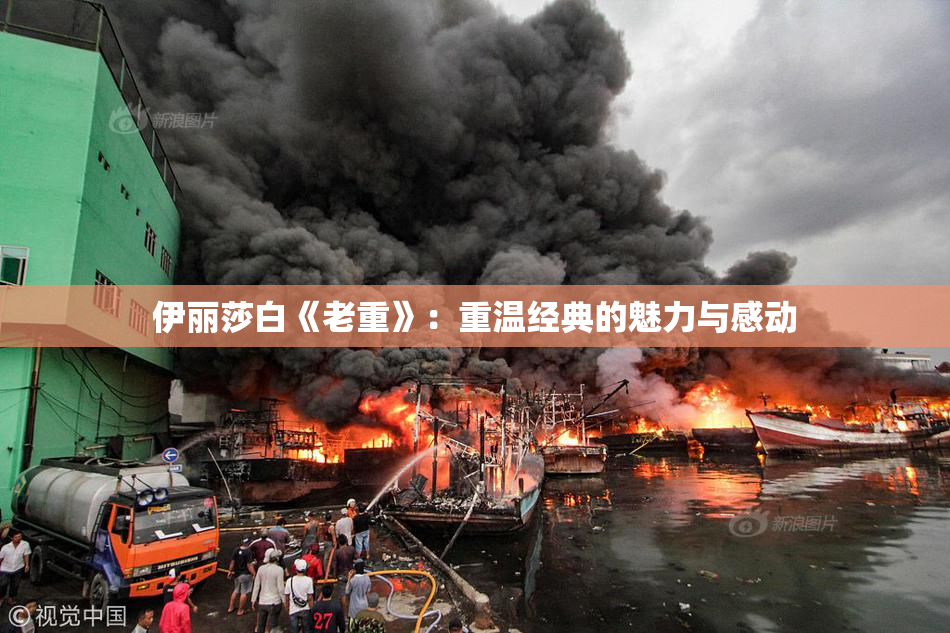 伊丽莎白《老重》：重温经典的魅力与感动