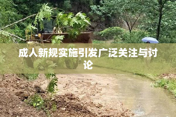 成人新规实施引发广泛关注与讨论