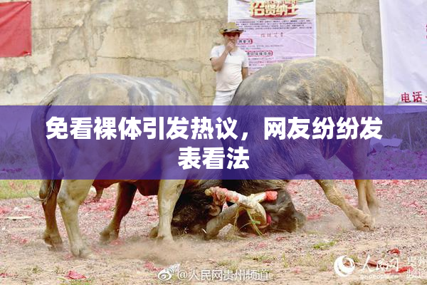 免看裸体引发热议，网友纷纷发表看法