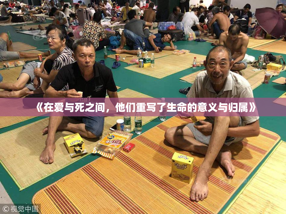 《在爱与死之间，他们重写了生命的意义与归属》