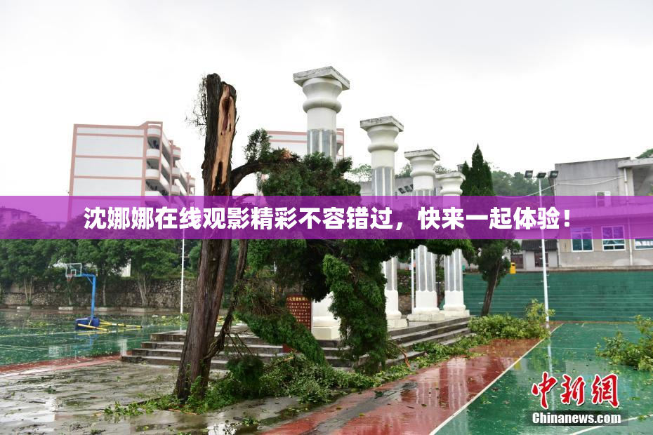 沈娜娜在线观影精彩不容错过，快来一起体验！