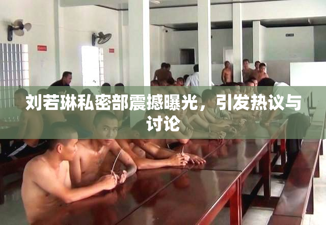 刘若琳私密部震撼曝光，引发热议与讨论