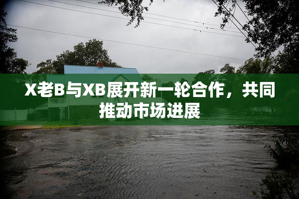 X老B与XB展开新一轮合作，共同推动市场进展