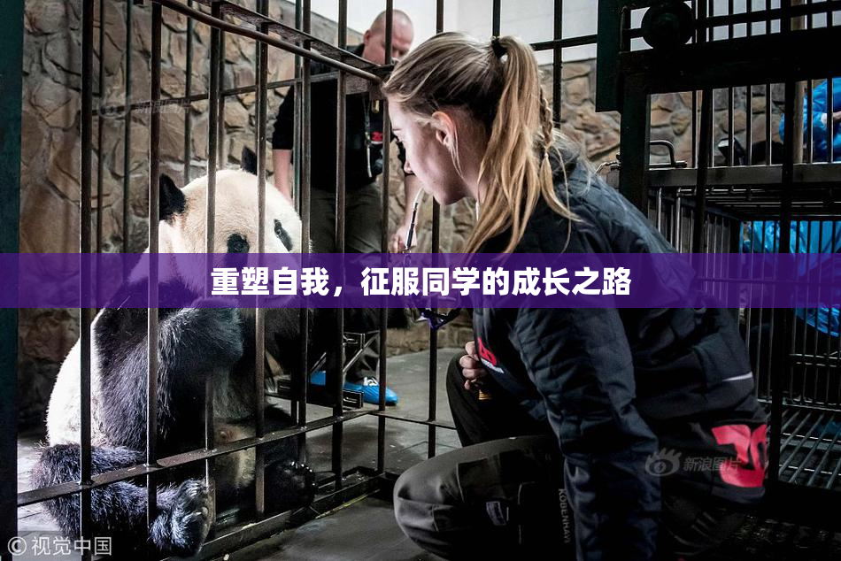 重塑自我，征服同学的成长之路