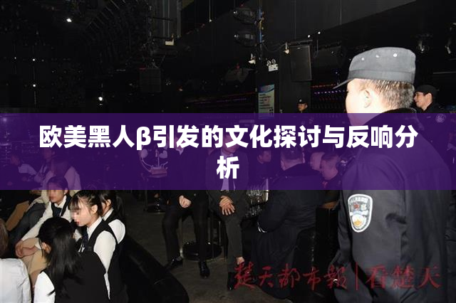 欧美黑人β引发的文化探讨与反响分析