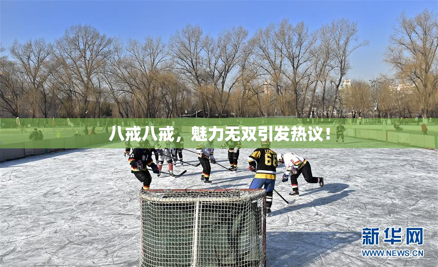 八戒八戒，魅力无双引发热议！