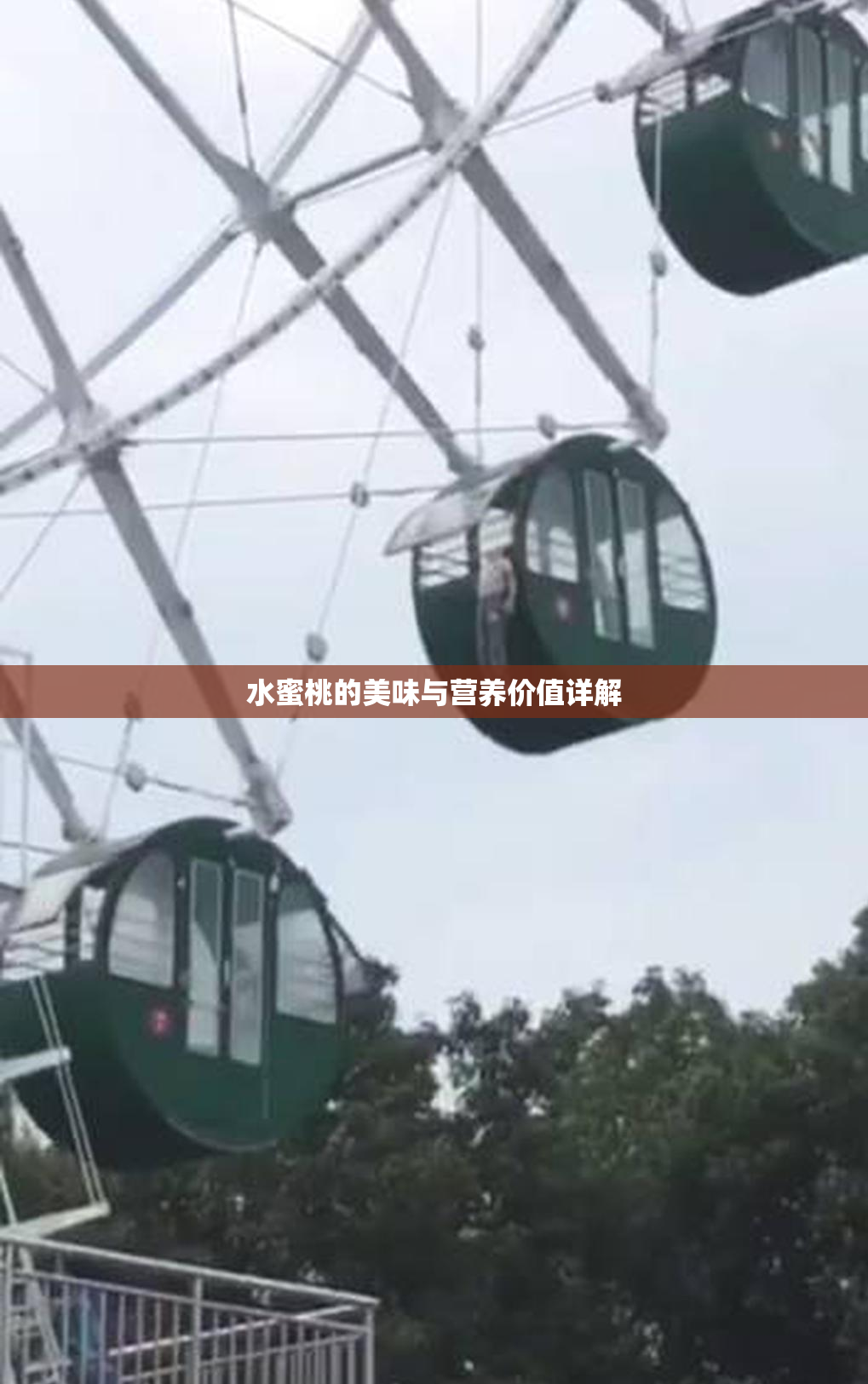水蜜桃的美味与营养价值详解