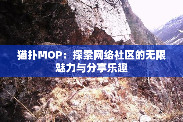 猫扑MOP：探索网络社区的无限魅力与分享乐趣