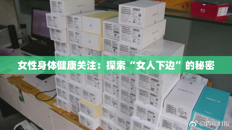 女性身体健康关注：探索“女人下边”的秘密