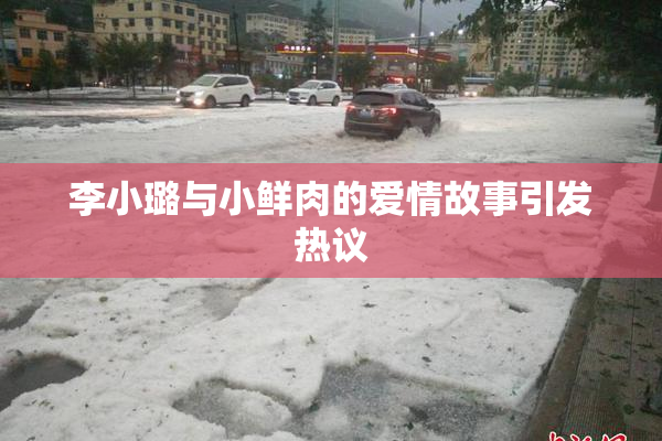 李小璐与小鲜肉的爱情故事引发热议