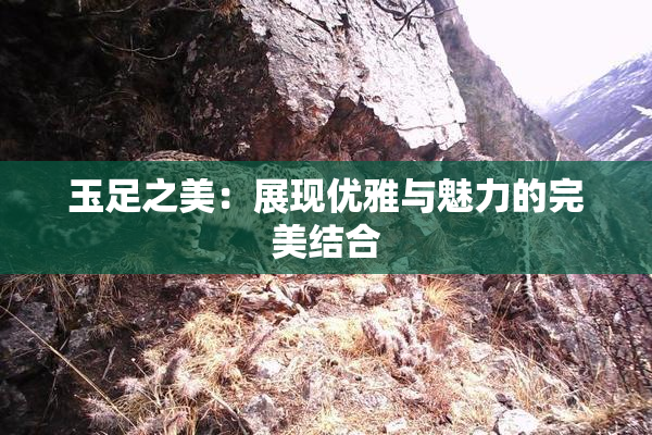 玉足之美：展现优雅与魅力的完美结合