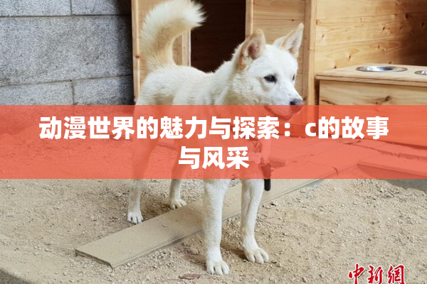 动漫世界的魅力与探索：c的故事与风采