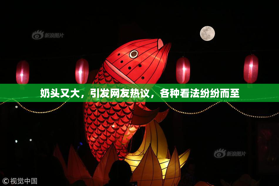 奶头又大，引发网友热议，各种看法纷纷而至