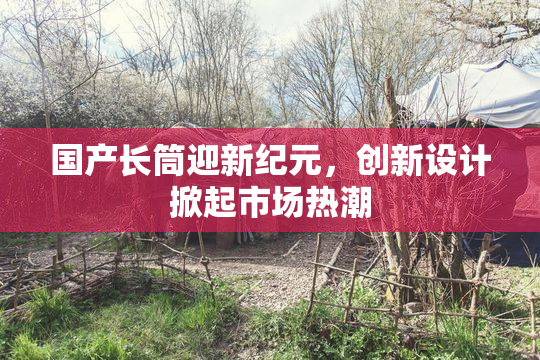 国产长筒迎新纪元，创新设计掀起市场热潮