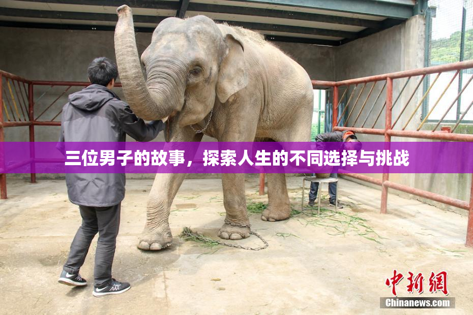 三位男子的故事，探索人生的不同选择与挑战