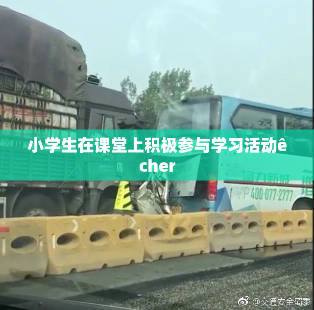 小学生在课堂上积极参与学习活动êcher