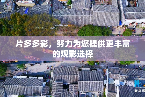 片多多影，努力为您提供更丰富的观影选择