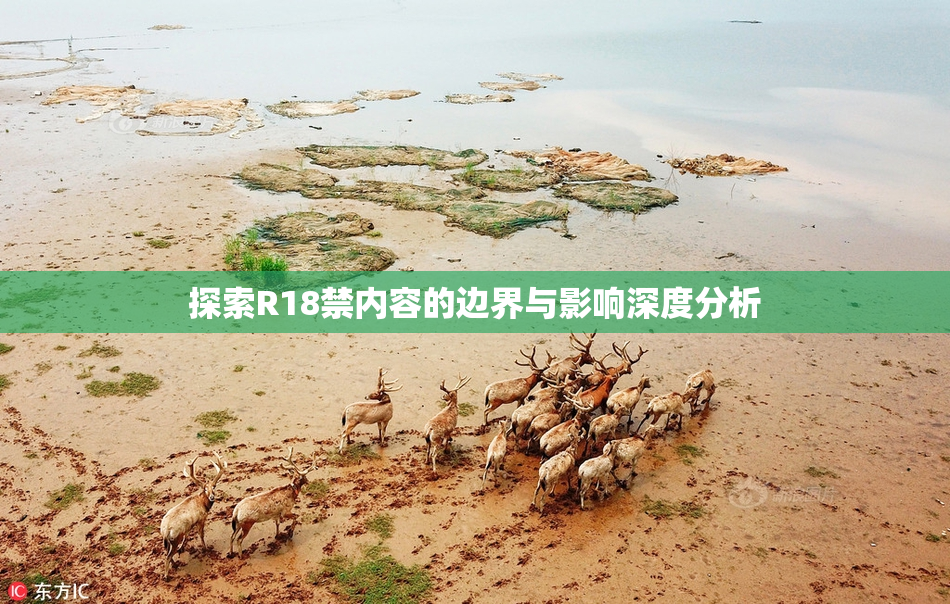 探索R18禁内容的边界与影响深度分析
