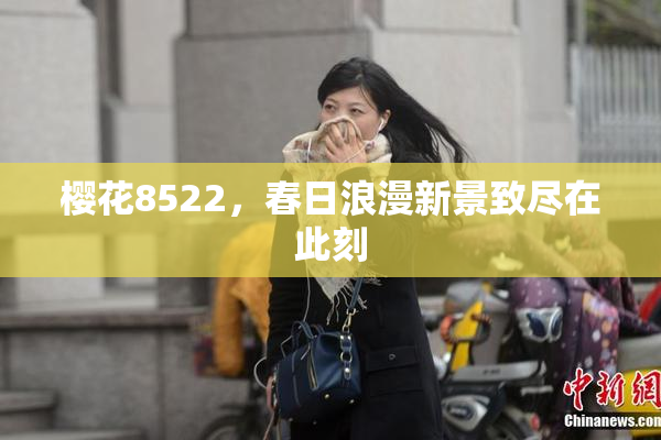 樱花8522，春日浪漫新景致尽在此刻