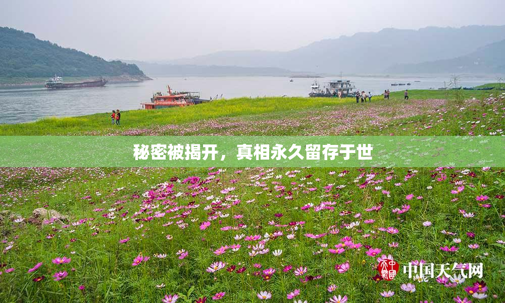 秘密被揭开，真相永久留存于世
